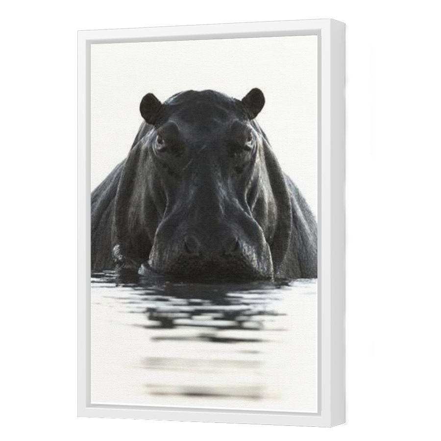 Thumbnail for Canvas - White Floating Frame