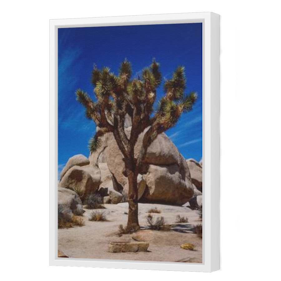 Thumbnail for Canvas - White Floating Frame