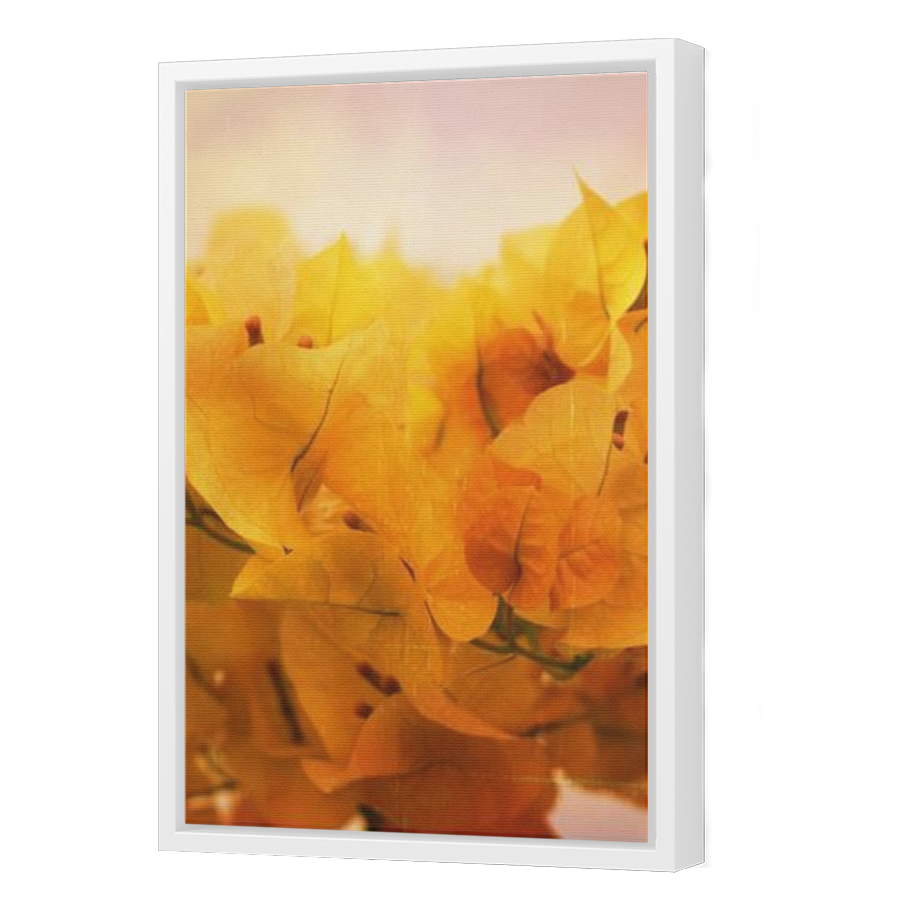 Thumbnail for Canvas - White Floating Frame
