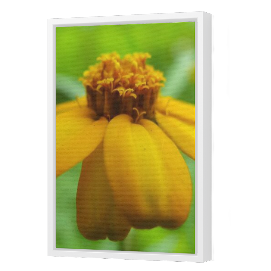 Thumbnail for Canvas - White Floating Frame
