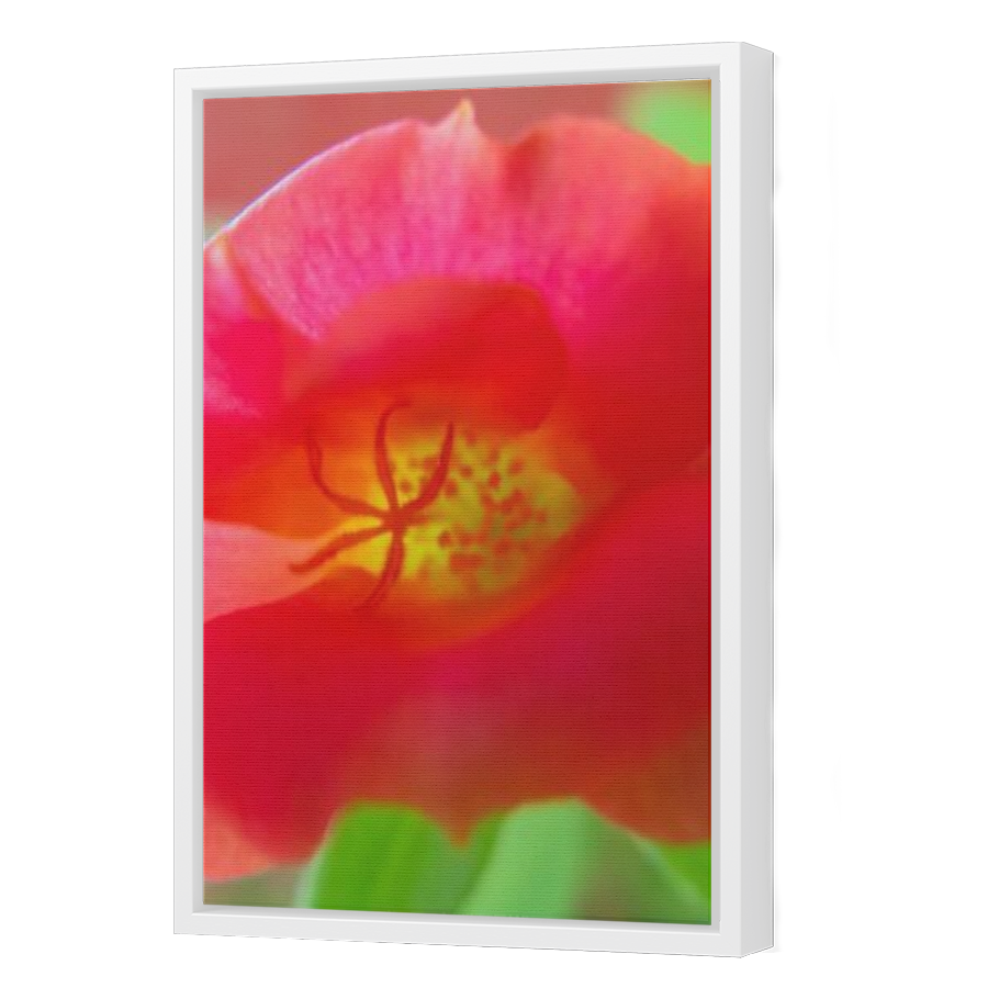 Thumbnail for Canvas - White Floating Frame