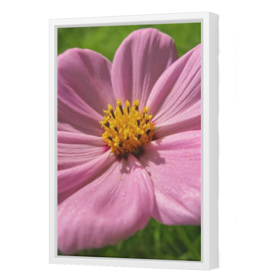 Thumbnail for Canvas - White Floating Frame