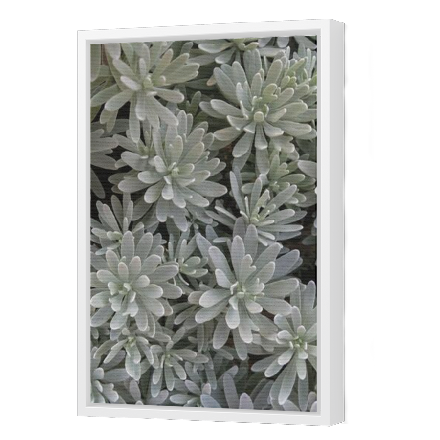 Thumbnail for Canvas - White Floating Frame