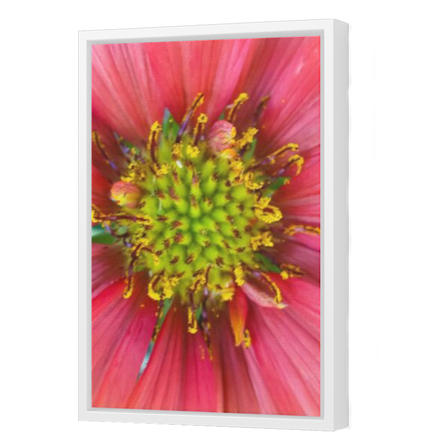 Thumbnail for Canvas - White Floating Frame