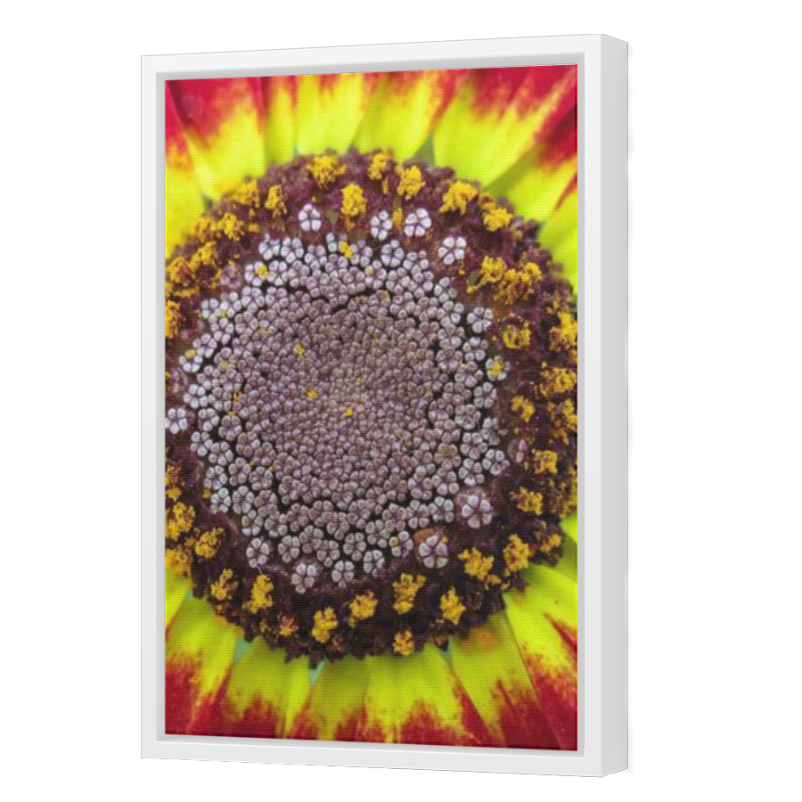 Thumbnail for Canvas - White Floating Frame