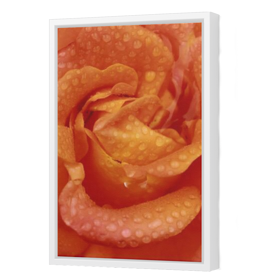 Thumbnail for Canvas - White Floating Frame
