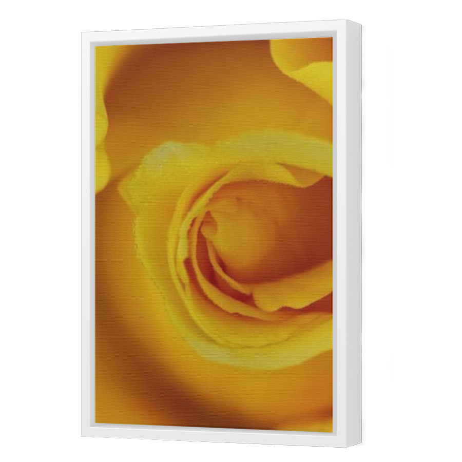 Thumbnail for Canvas - White Floating Frame