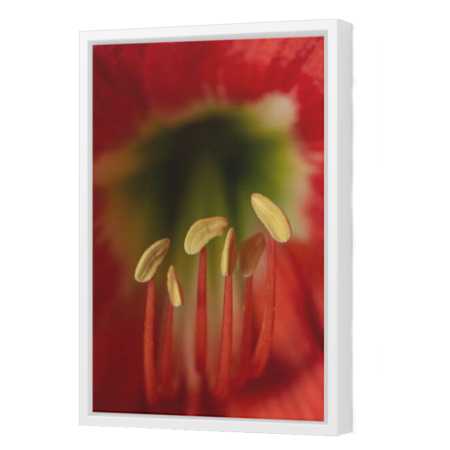 Thumbnail for Canvas - White Floating Frame