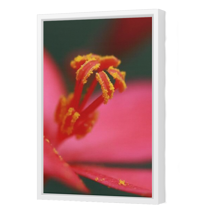 Thumbnail for Canvas - White Floating Frame
