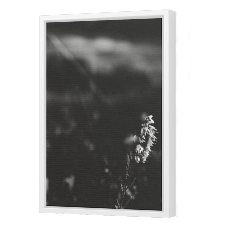 Thumbnail for Canvas - White Floating Frame