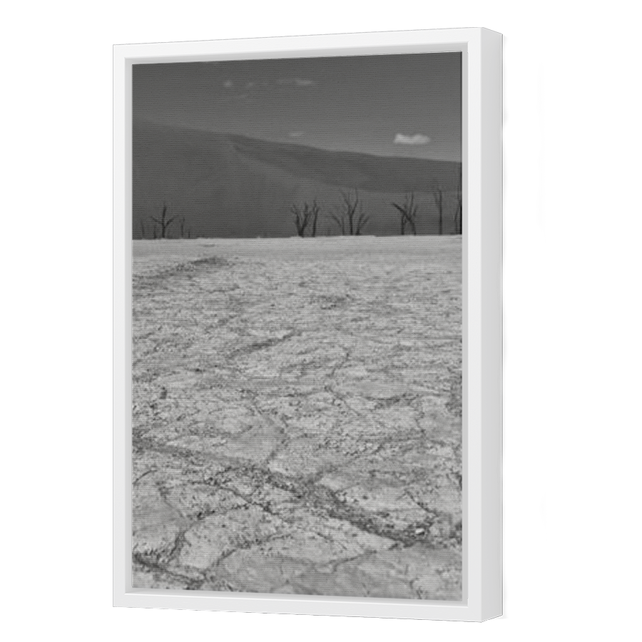 Thumbnail for Canvas - White Floating Frame