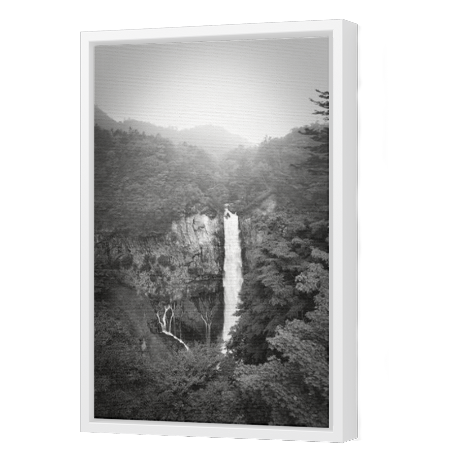 Thumbnail for Canvas - White Floating Frame