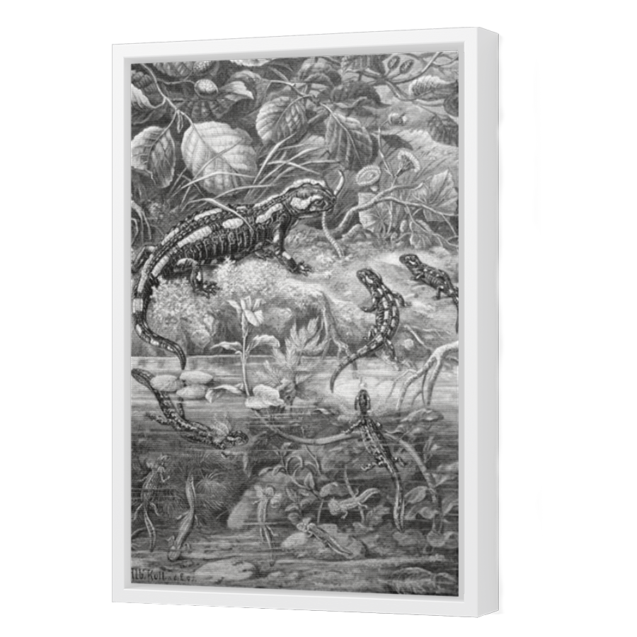 Thumbnail for Canvas - White Floating Frame