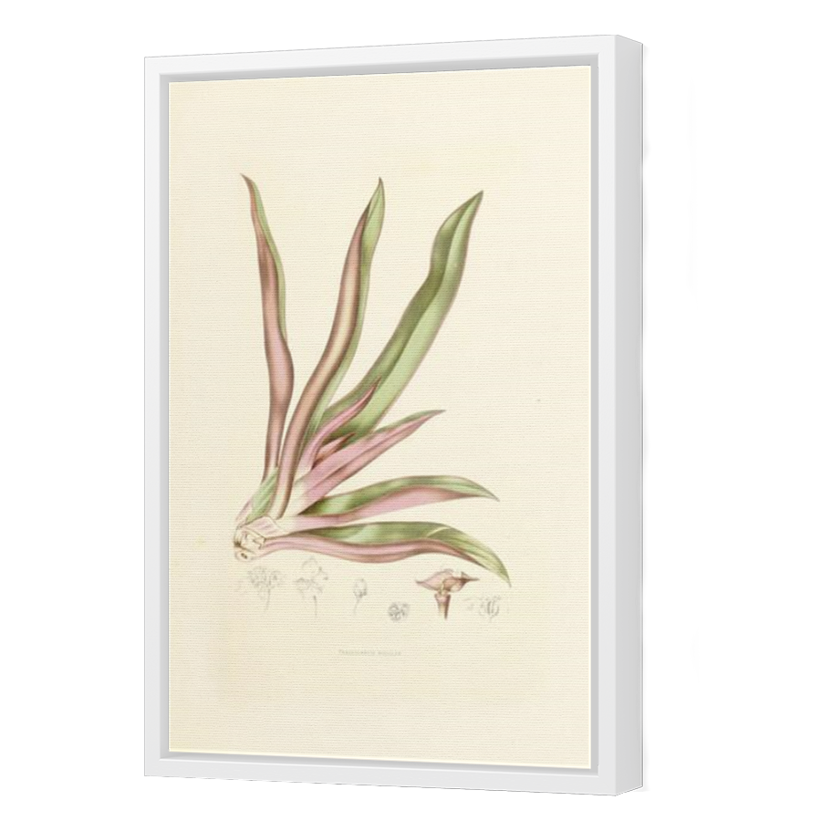 Thumbnail for Canvas - White Floating Frame