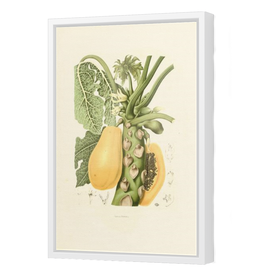 Thumbnail for Canvas - White Floating Frame