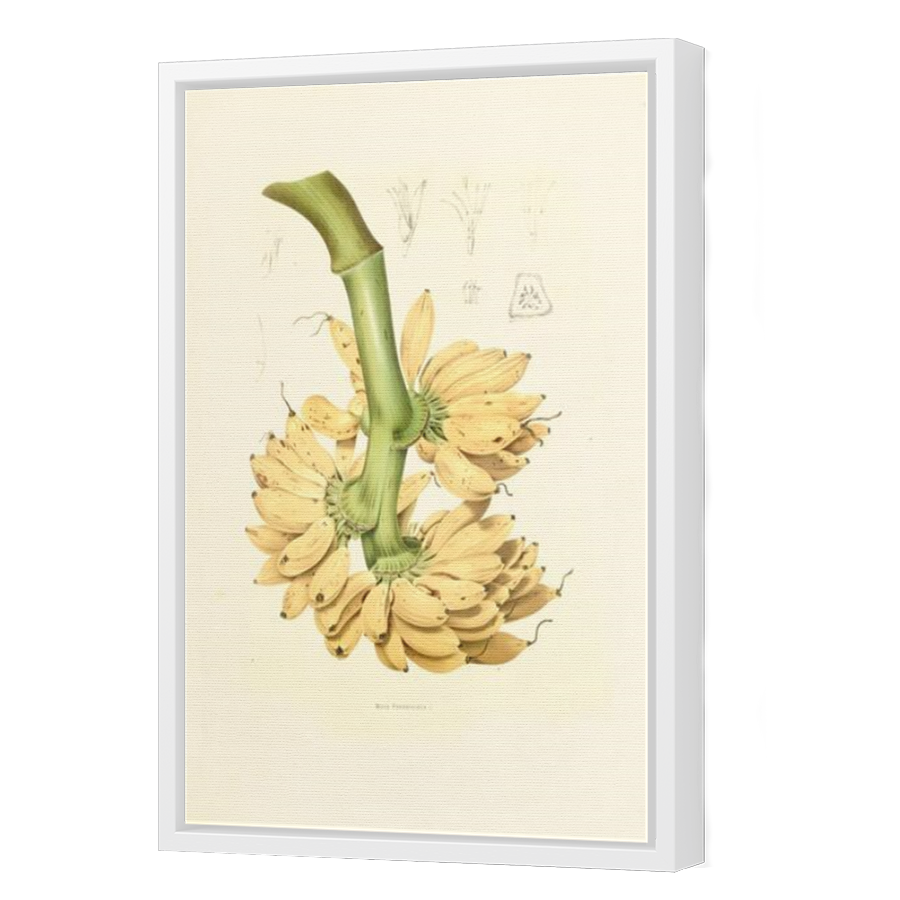 Thumbnail for Canvas - White Floating Frame