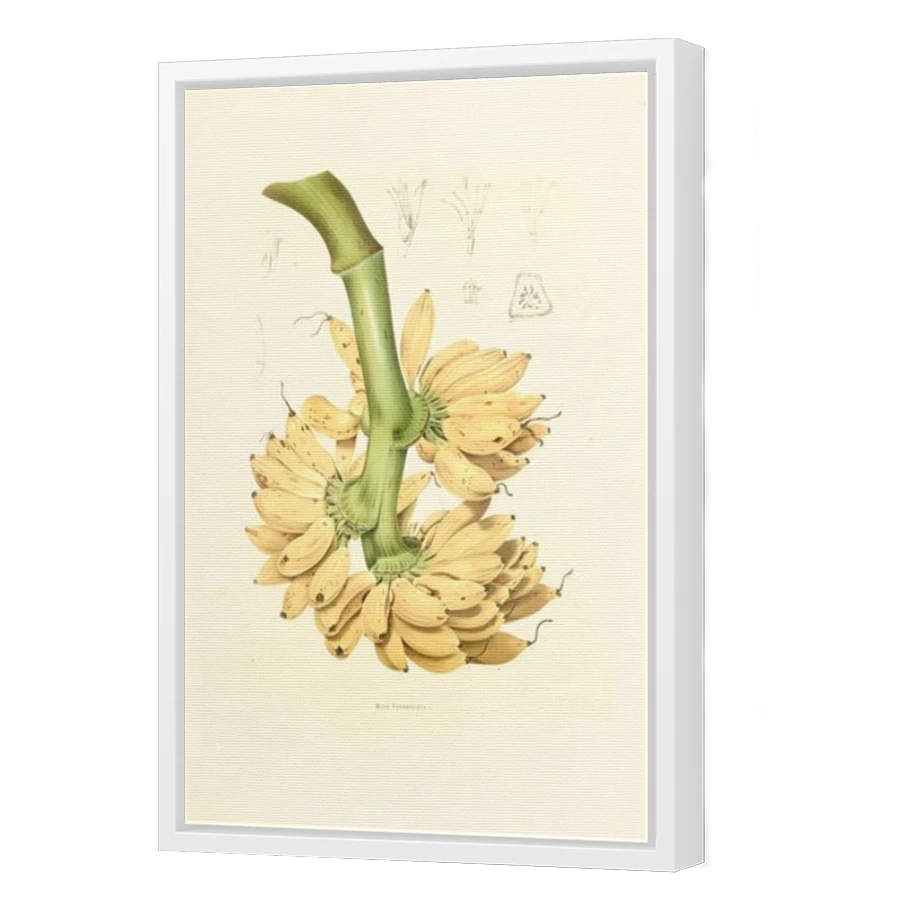 Thumbnail for Canvas - White Floating Frame