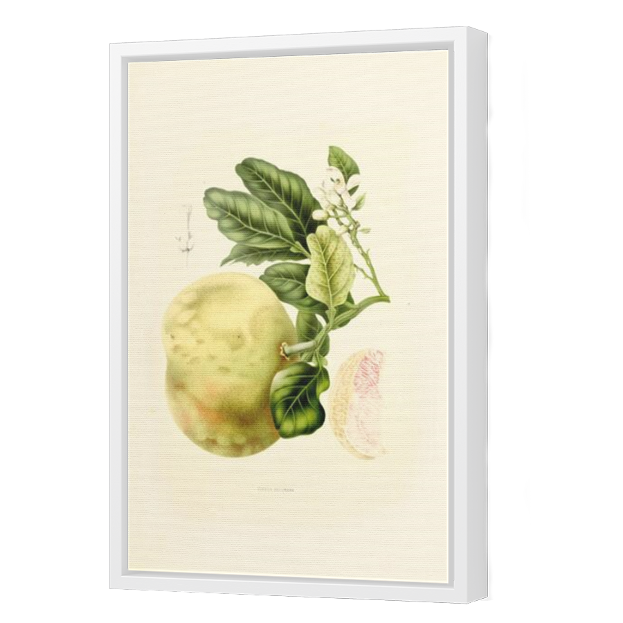 Thumbnail for Canvas - White Floating Frame