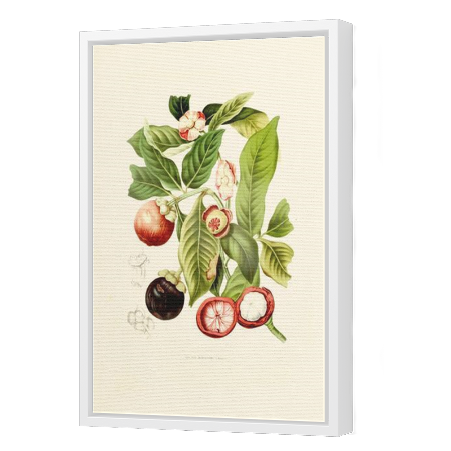 Thumbnail for Canvas - White Floating Frame