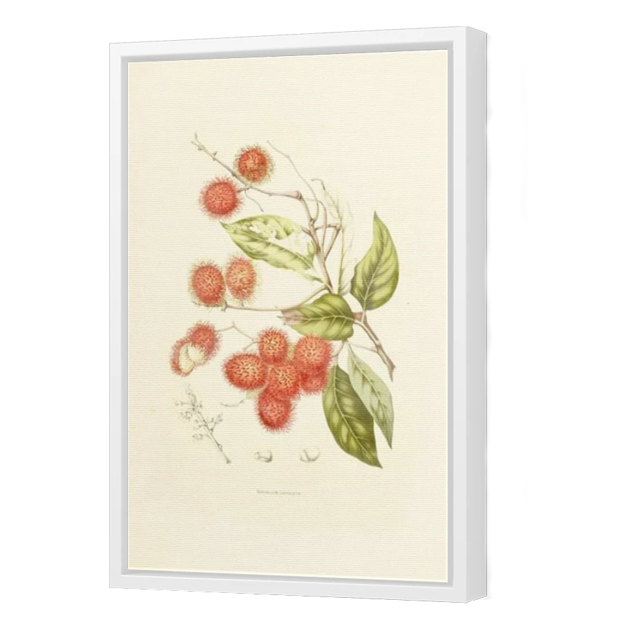 Thumbnail for Canvas - White Floating Frame
