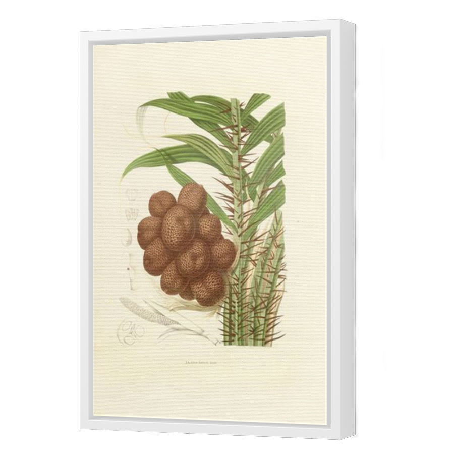 Thumbnail for Canvas - White Floating Frame