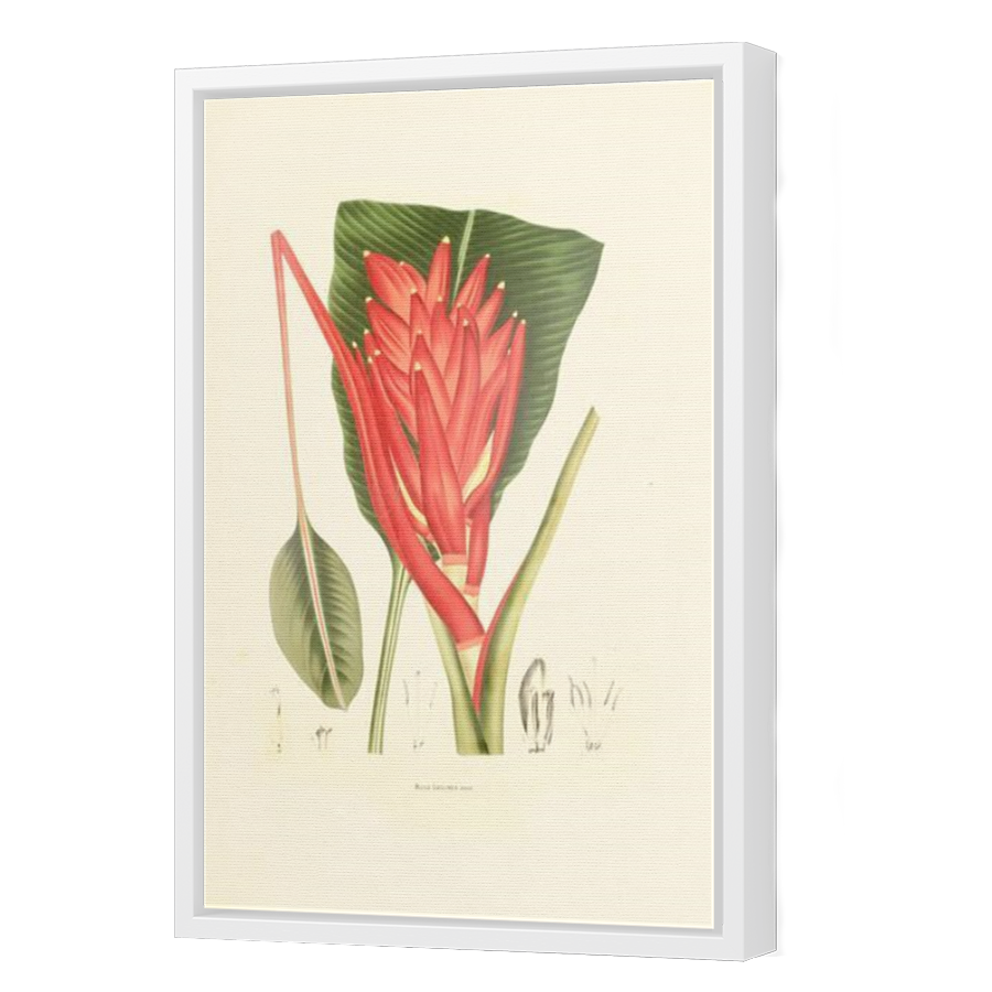 Thumbnail for Canvas - White Floating Frame