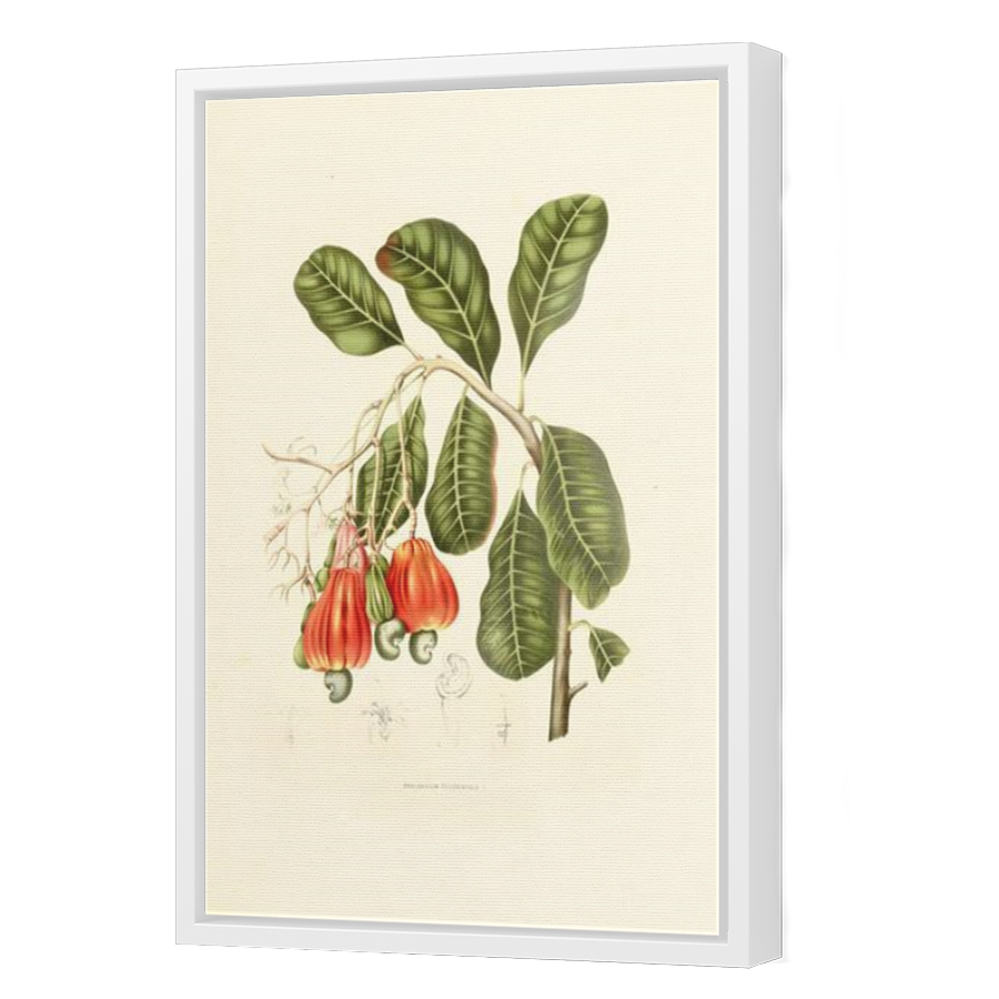 Thumbnail for Canvas - White Floating Frame