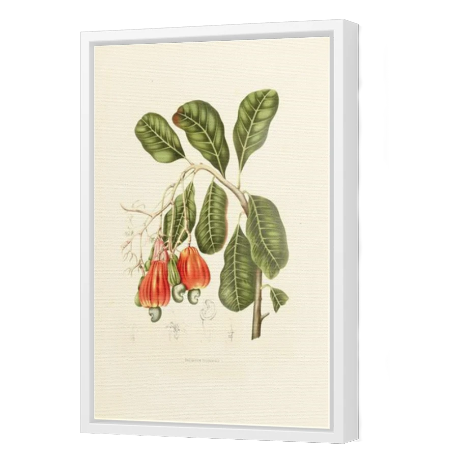 Thumbnail for Canvas - White Floating Frame
