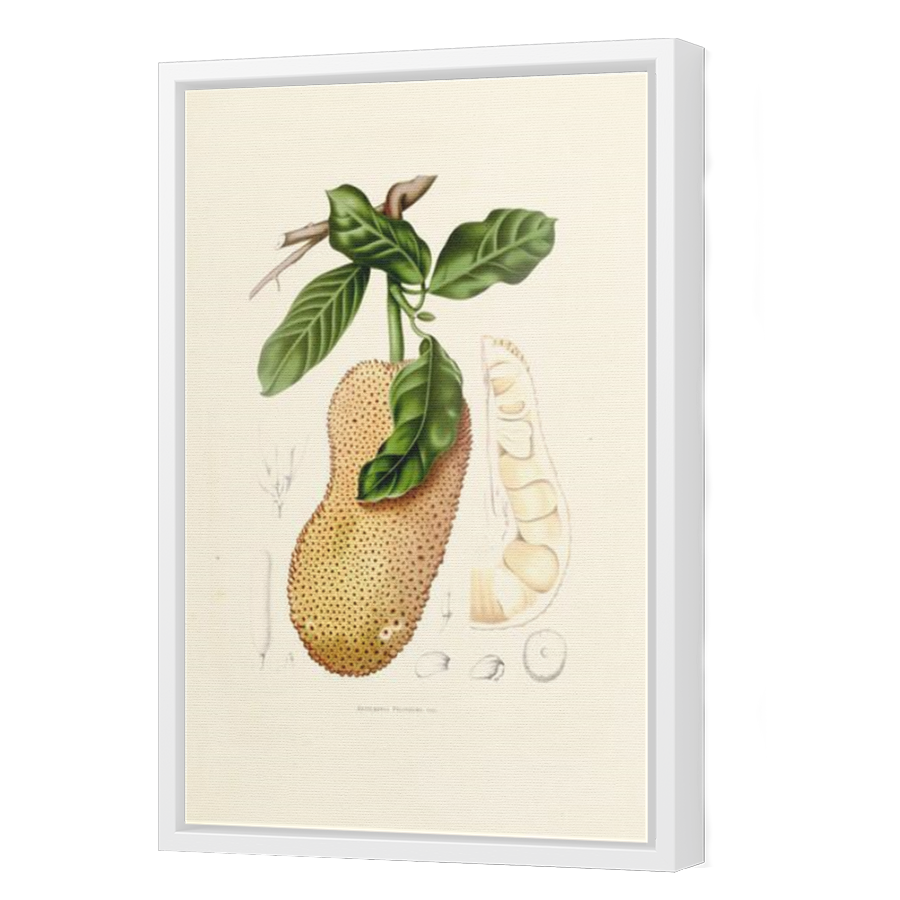 Thumbnail for Canvas - White Floating Frame