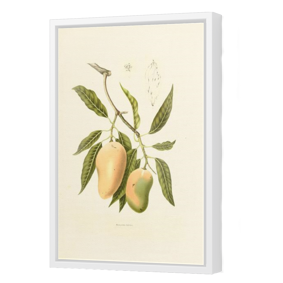 Thumbnail for Canvas - White Floating Frame