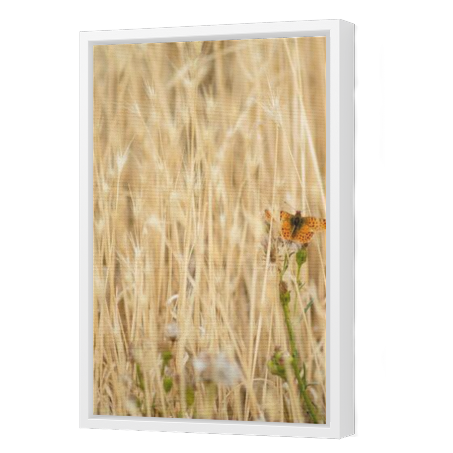 Thumbnail for Canvas - White Floating Frame