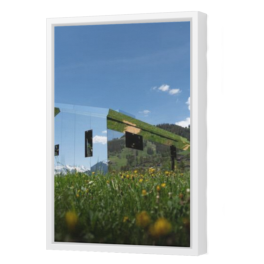 Thumbnail for Canvas - White Floating Frame