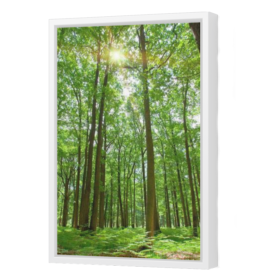 Thumbnail for Canvas - White Floating Frame