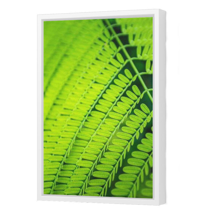 Thumbnail for Canvas - White Floating Frame