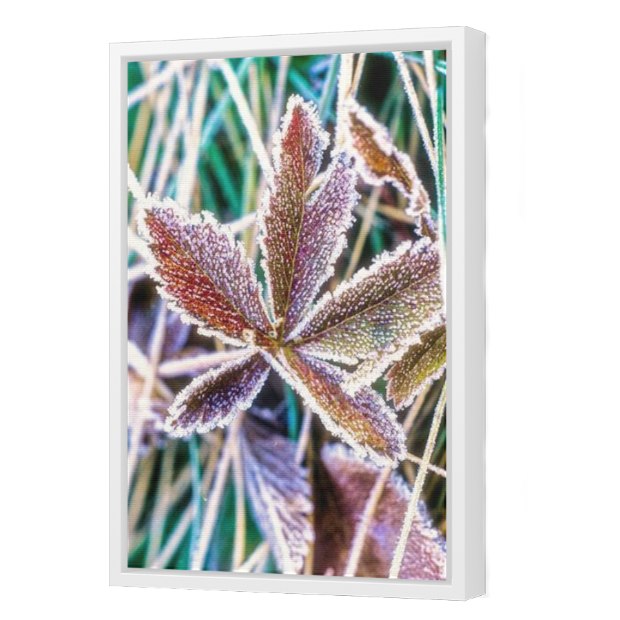 Thumbnail for Canvas - White Floating Frame