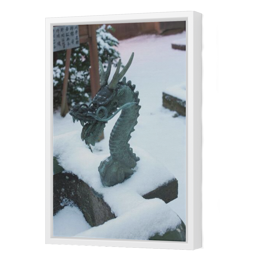 Thumbnail for Canvas - White Floating Frame
