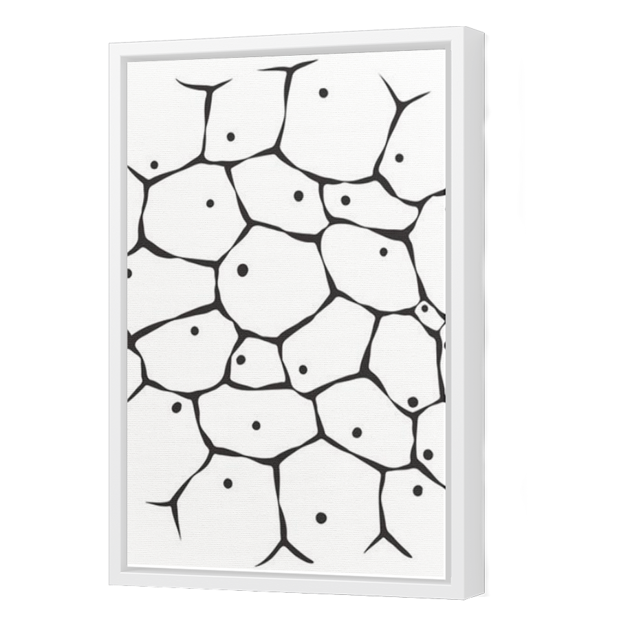 Thumbnail for Canvas - White Floating Frame