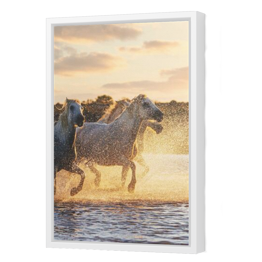 Thumbnail for Canvas - White Floating Frame