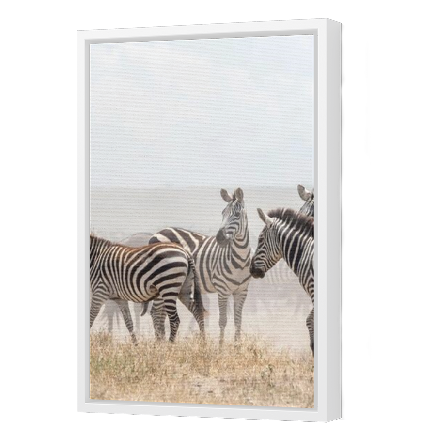 Thumbnail for Canvas - White Floating Frame