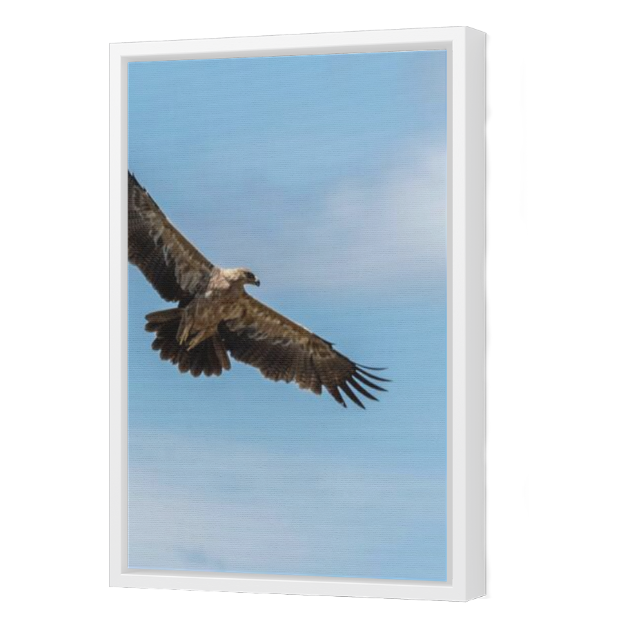 Thumbnail for Canvas - White Floating Frame