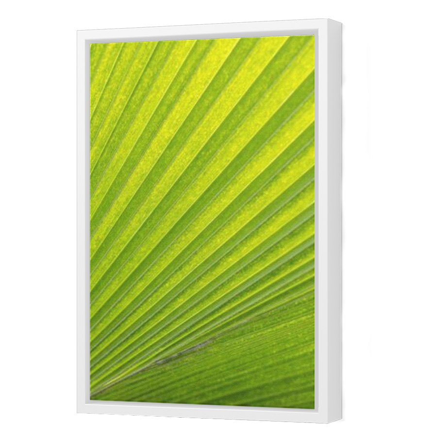Thumbnail for Canvas - White Floating Frame
