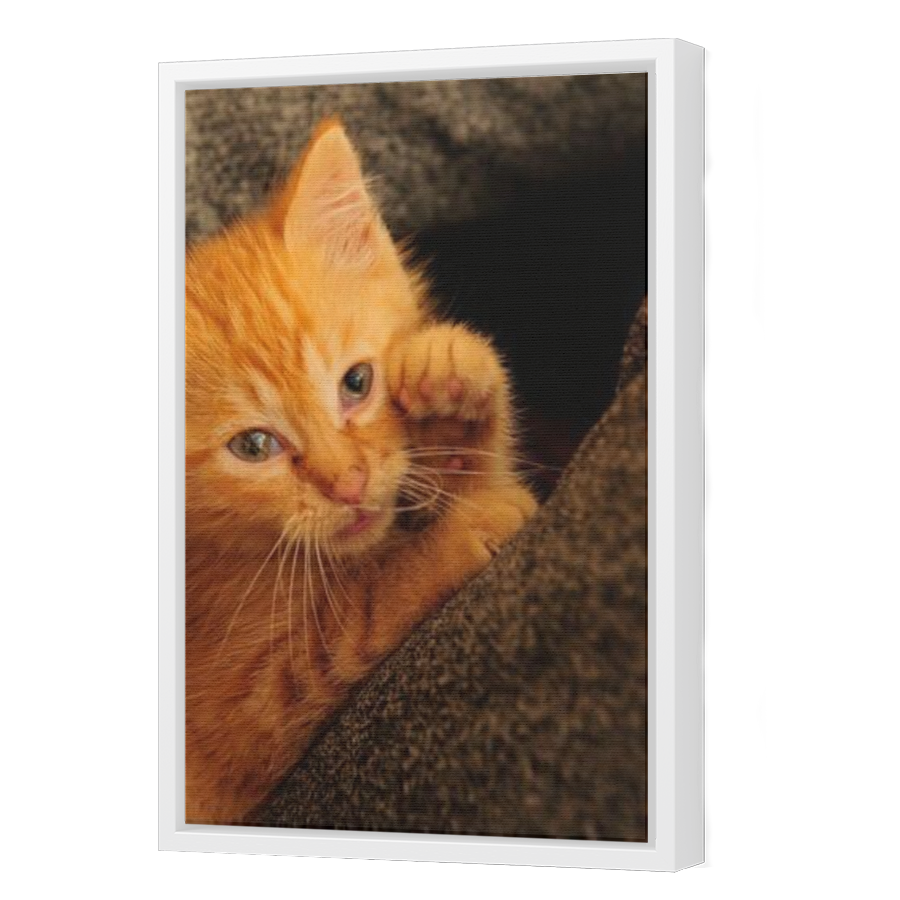 Thumbnail for Canvas - White Floating Frame