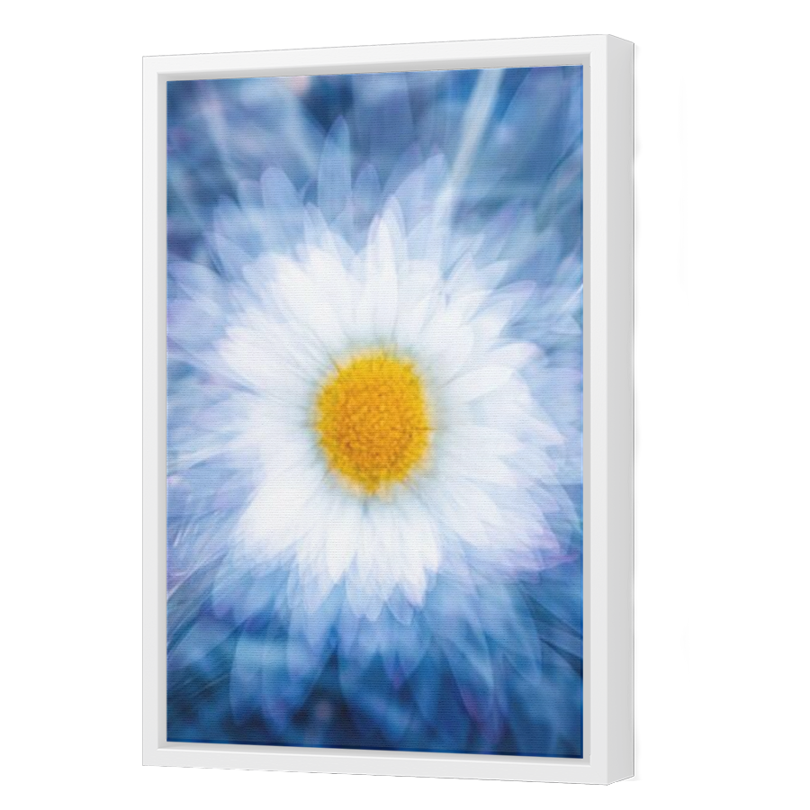 Thumbnail for Canvas - White Floating Frame