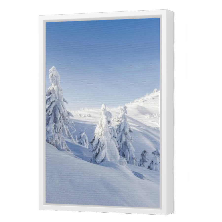Thumbnail for Canvas - White Floating Frame