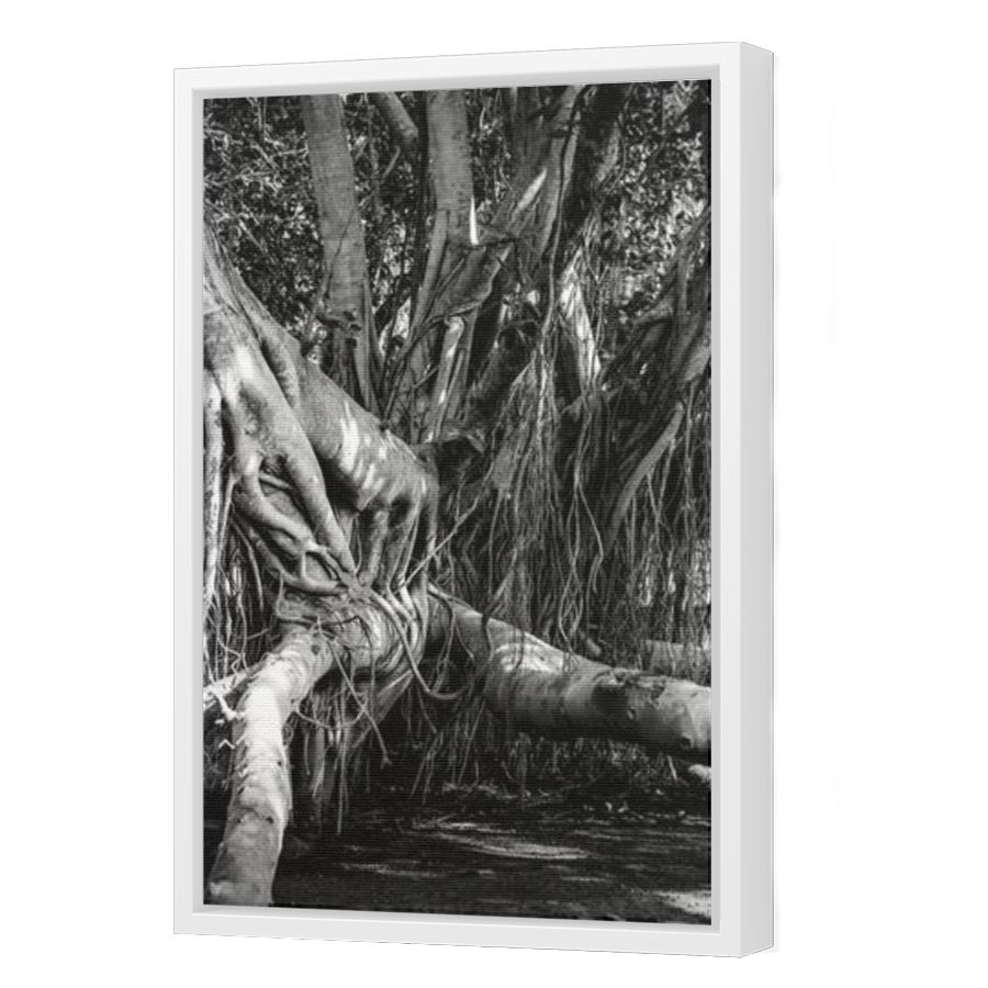 Thumbnail for Canvas - White Floating Frame