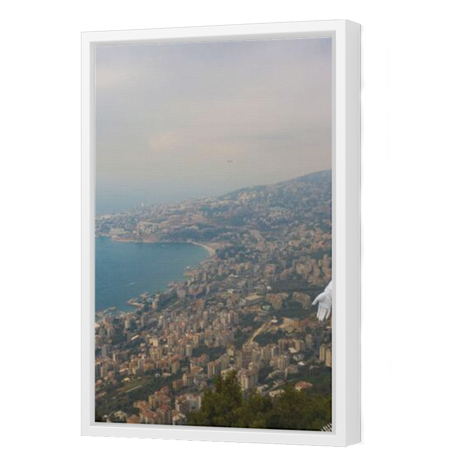 Thumbnail for Canvas - White Floating Frame