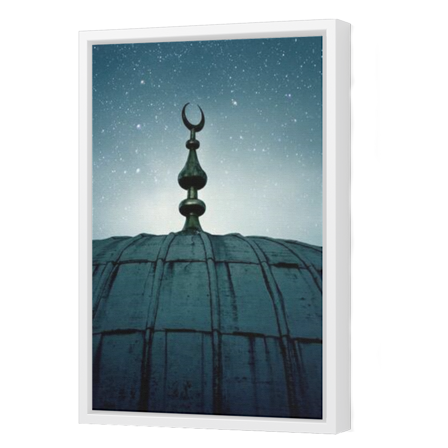 Thumbnail for Canvas - White Floating Frame