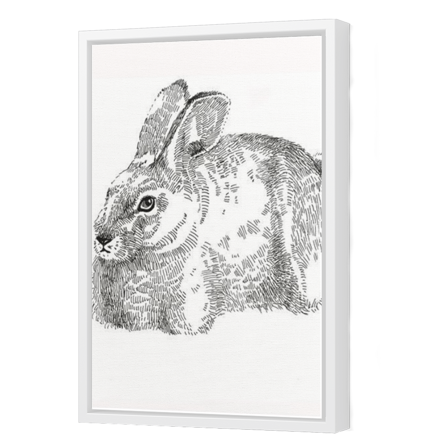 Thumbnail for Canvas - White Floating Frame