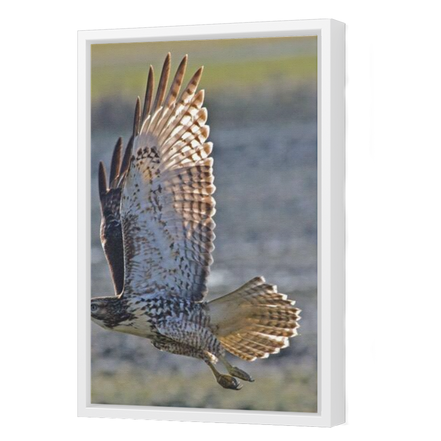 Thumbnail for Canvas - White Floating Frame