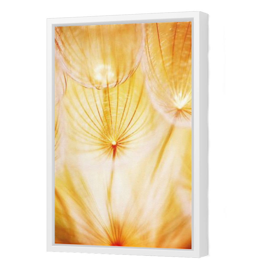 Thumbnail for Canvas - White Floating Frame
